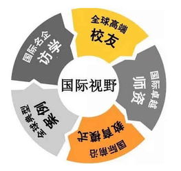 bsn荷蘭商學(xué)院mba和dba學(xué)位項(xiàng)目招生簡(jiǎn)章